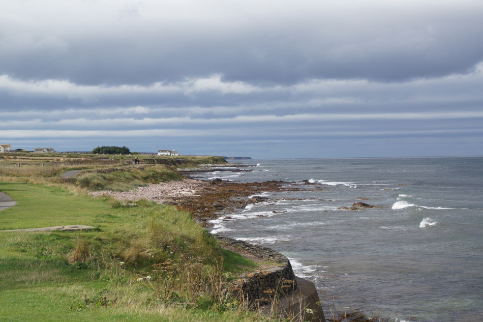 Orkney Shore